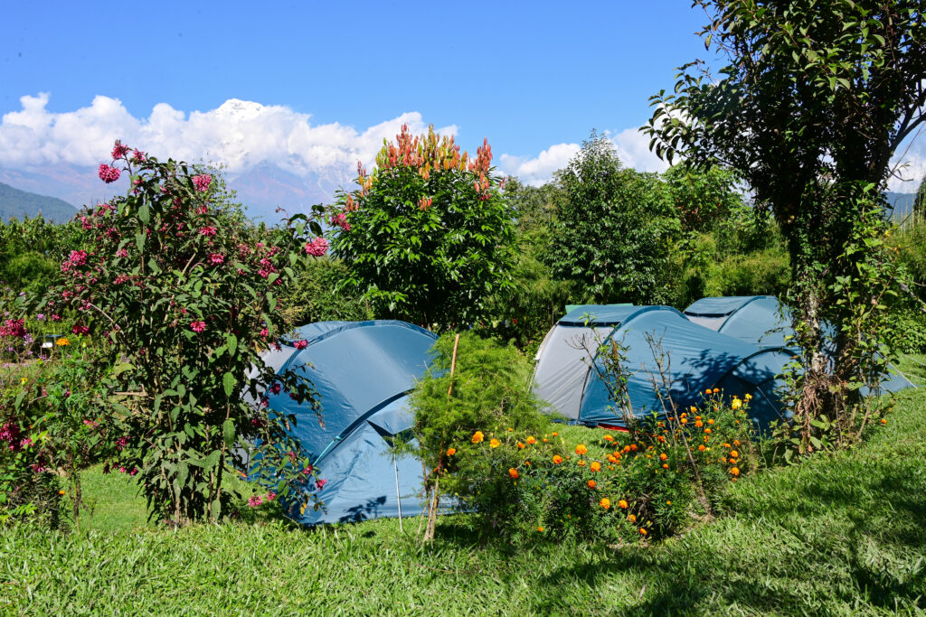 Tents at the camping ground of Kalsee Eco Lodge surrounded by nature in Nepal