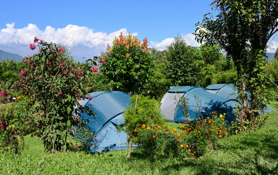 Tents at the camping ground of Kalsee Eco Lodge surrounded by nature in Nepal