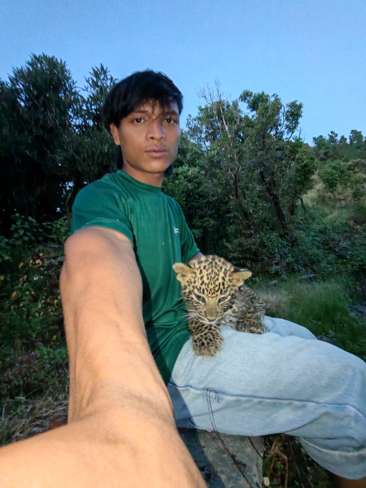 Leopard cub roaming near Kalsee Eco Lodge in Nepal's natural wildlife habitat